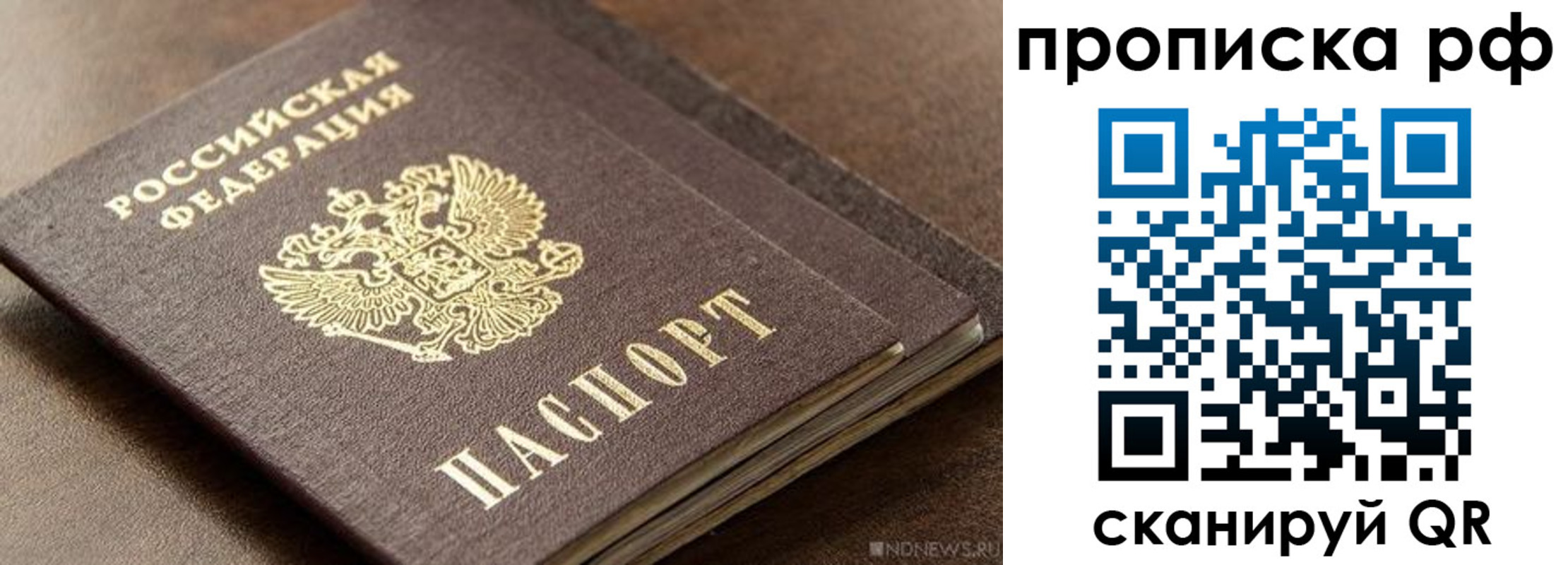 временная регистрация гарантия в Дрезне
